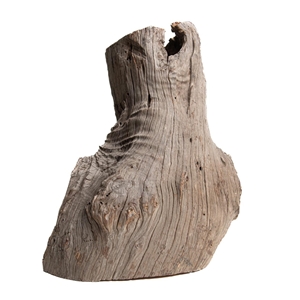 PROGROW OLD TRUNK WOOD 30-60CM 1KG - zdjęcie 3
