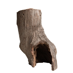 PROGROW OLD TRUNK WOOD 30-60CM 1KG - zdjęcie 4