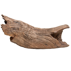 PROGROW OLD TRUNK WOOD 30-60CM 1KG - zdjęcie 6