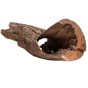 PROGROW OLD TRUNK WOOD 30-60CM 1KG - zdjęcie 7