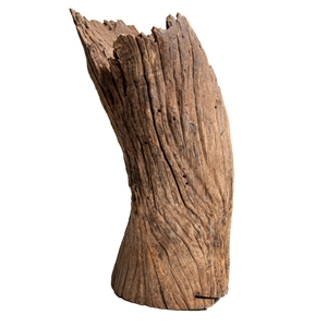 PROGROW OLD TRUNK WOOD 30-60CM 1KG - zdjęcie 8