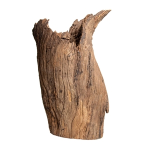 PROGROW OLD TRUNK WOOD 30-60CM 1KG - zdjęcie 9