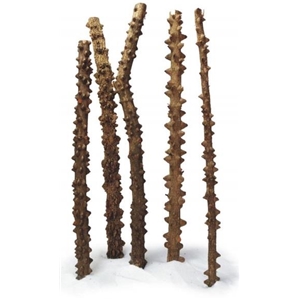 PROGROW POINT WOOD 1SZT.