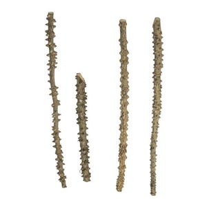 PROGROW POINT WOOD 1SZT.