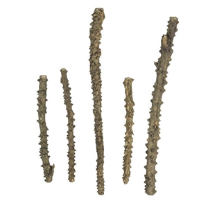 PROGROW POINT WOOD 1SZT.