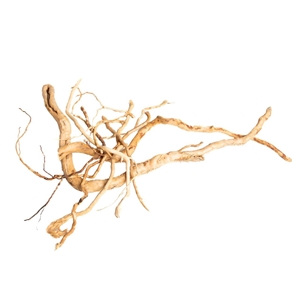 PROGROW SINGLE BRANCH 10-60CM 1KG