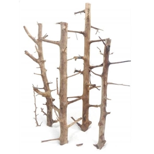 PROGROW TREE WOOD 1SZT.
