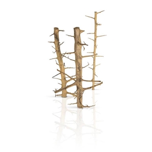 PROGROW TREE WOOD XL 60-100CM 1SZT.