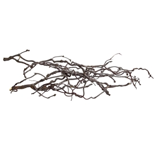 PROGROW WILLOW WOOD 1KG
