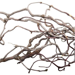 PROGROW WILLOW WOOD 1KG