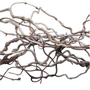 PROGROW WILLOW WOOD 1KG