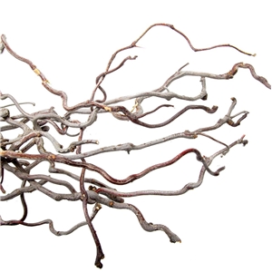 PROGROW WILLOW WOOD 1KG