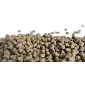 VITALIS CATFISH PELLETS M 6MM 20KG 30L