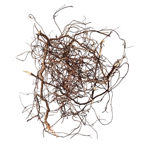 WIO MINI ROOTS 10-30CM 80G