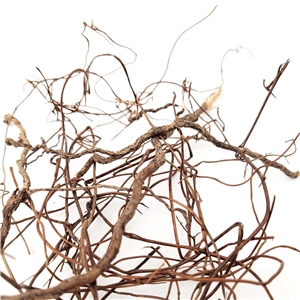 WIO MINI ROOTS 10-30CM 80G