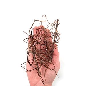 WIO MINI ROOTS 10-30CM 80G