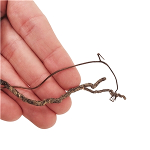 WIO MINI ROOTS 10-30CM 80G