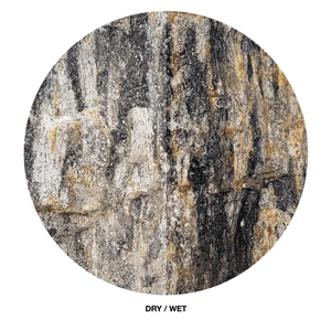 WIO GREY FOSSIL WOOD STONE 10-30CM 1KG