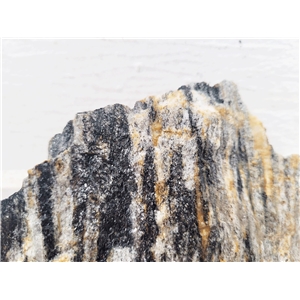 WIO GREY FOSSIL WOOD STONE 10-30CM 1KG