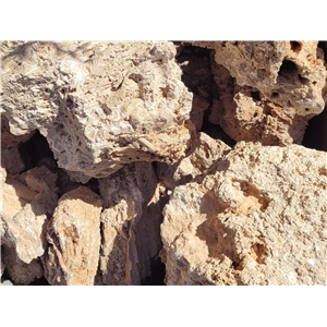 WIO PALEOROCK STONE 10-30CM 1KG