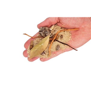 WIO RIVULET RIVERBED 0,1-20 CM 2KG